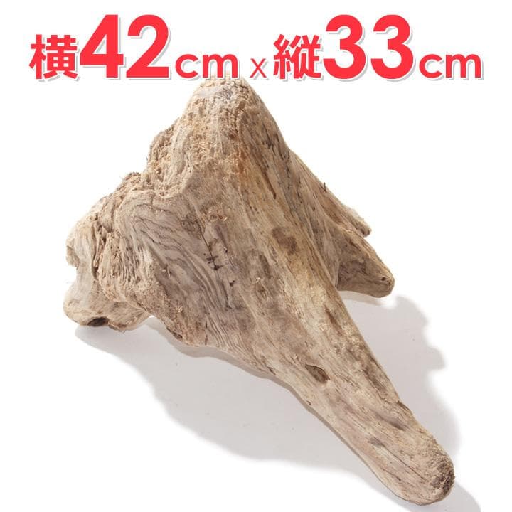流木 インテリア レイアウト 42cm DIY アクアリウム 天然 rybk7