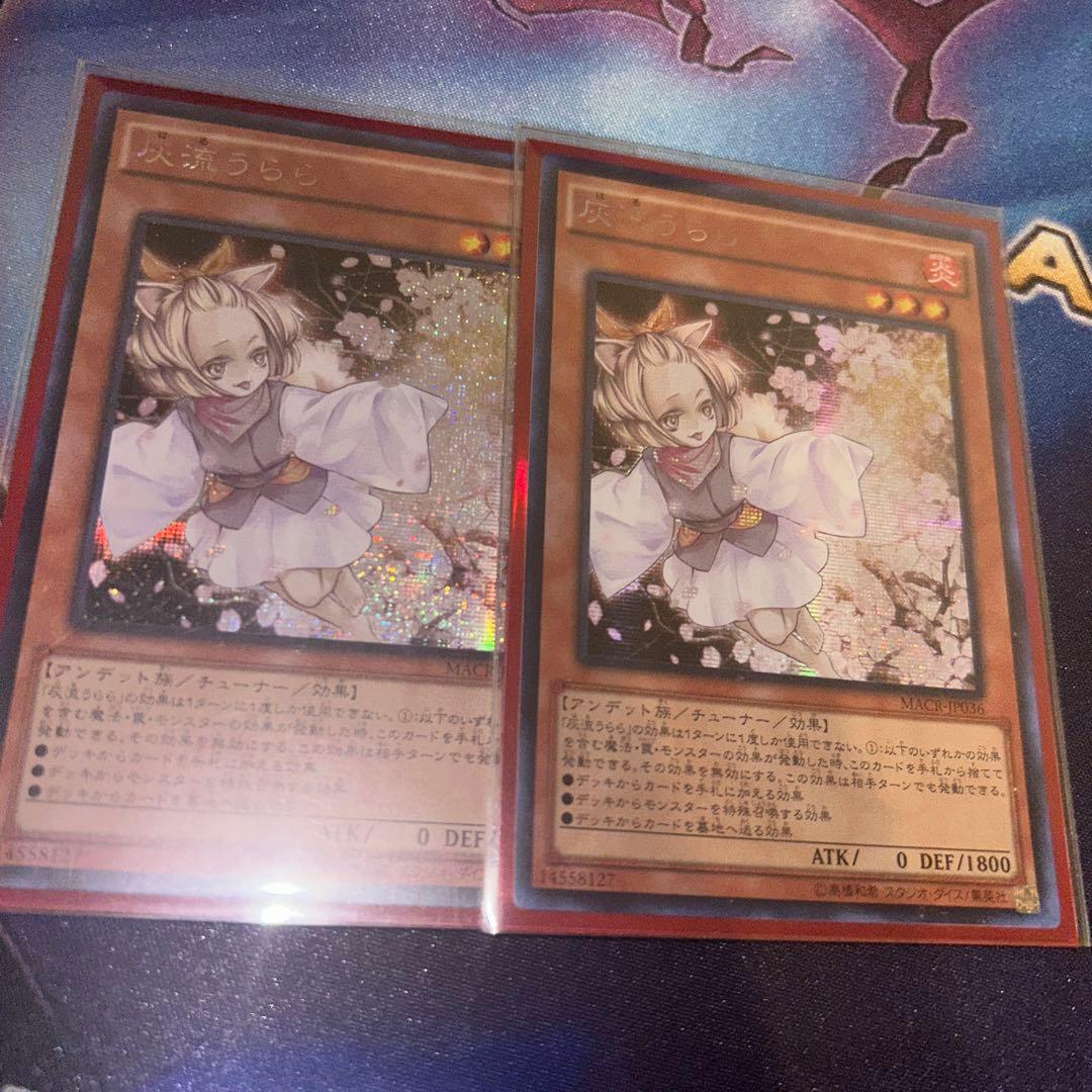 【メルカリ最安値】灰流うらら　初版アジアシク