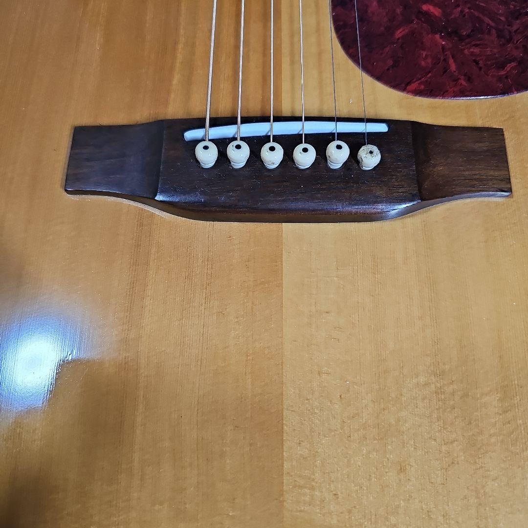 Aria.DreadnoughtAD-50トップ、バック単板! ハードケース付き