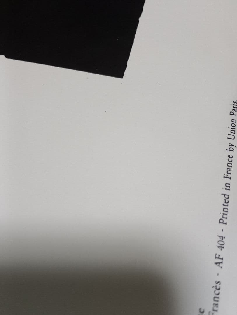 ８０年代　フランス製　大型　アンリ・マティス　バレリーナ　アートフレーム　額入