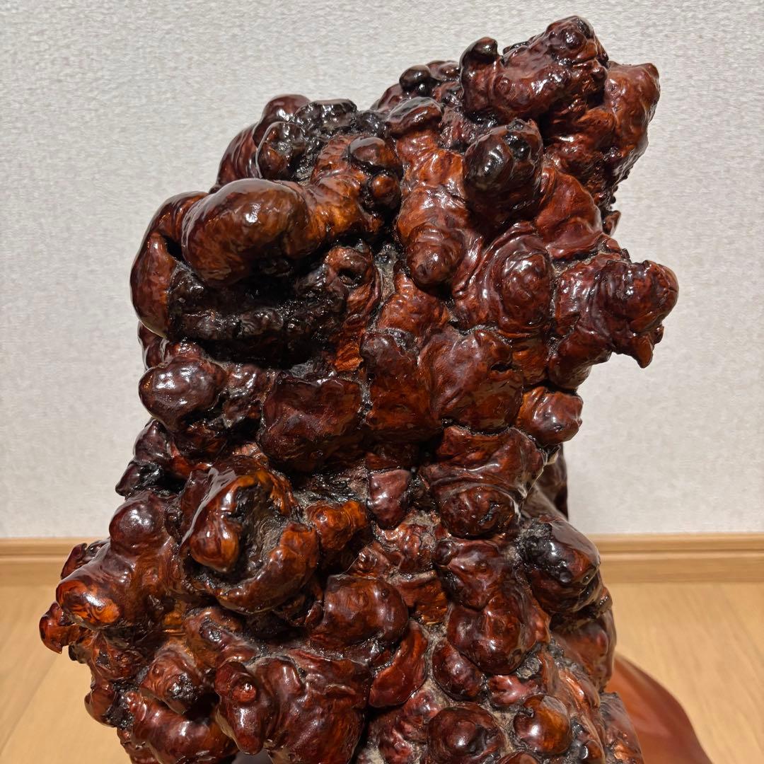 木の瘤　オブジェ　置物　天然木　自然木　木瘤　レア物　異形　インテリア　和風