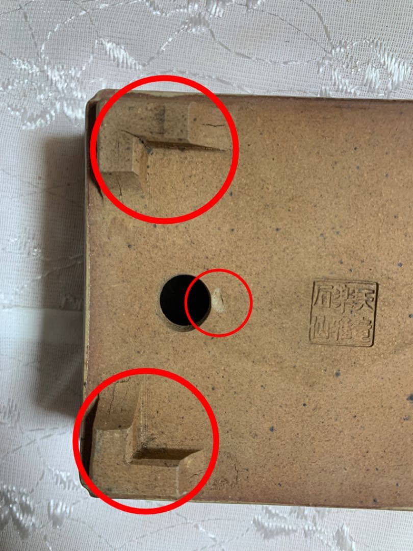 天竜石仙　盆栽鉢