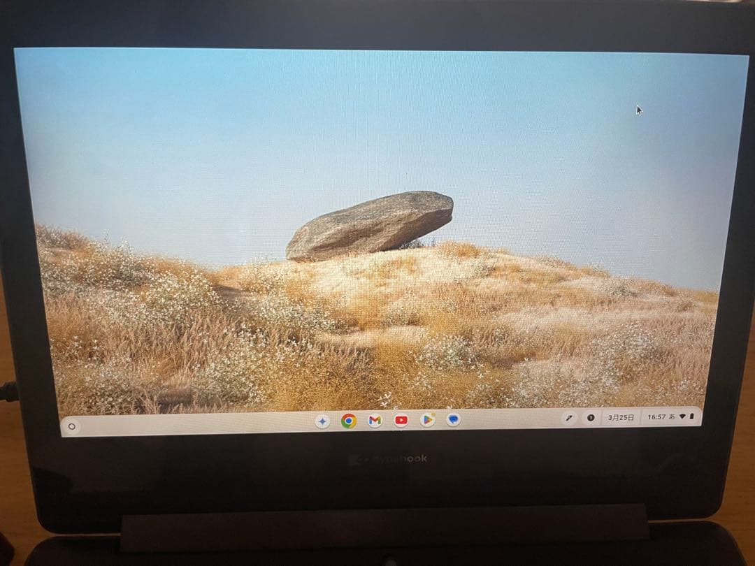 Chromebook本体 Chromebook DynaBook C1