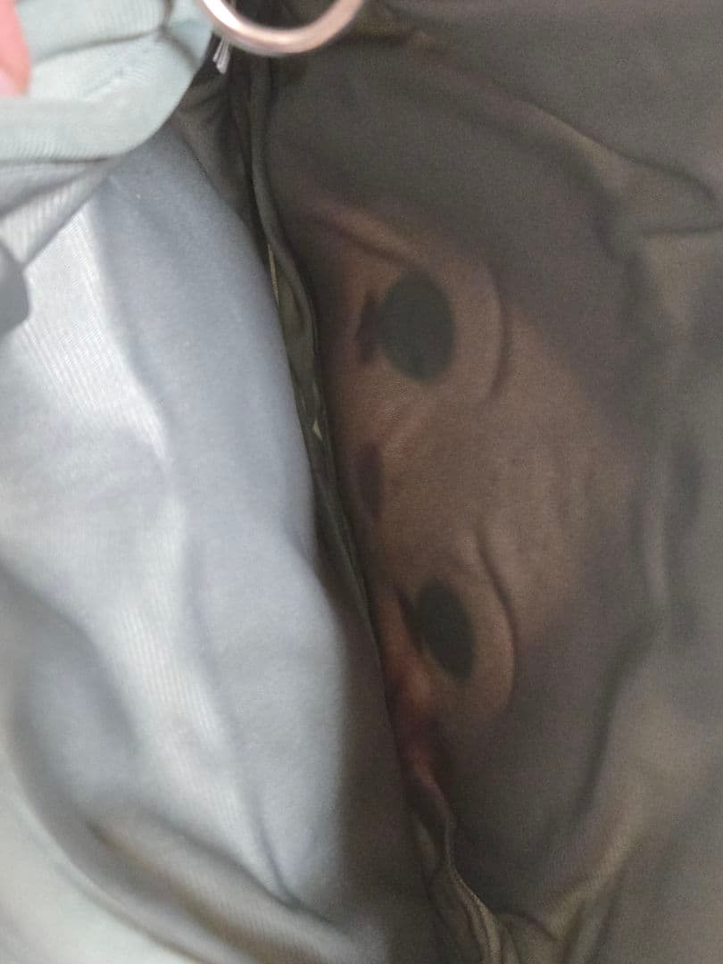 特典付き！葵ひなた しろくま バッグ 告白気球 偶像梦幻祭