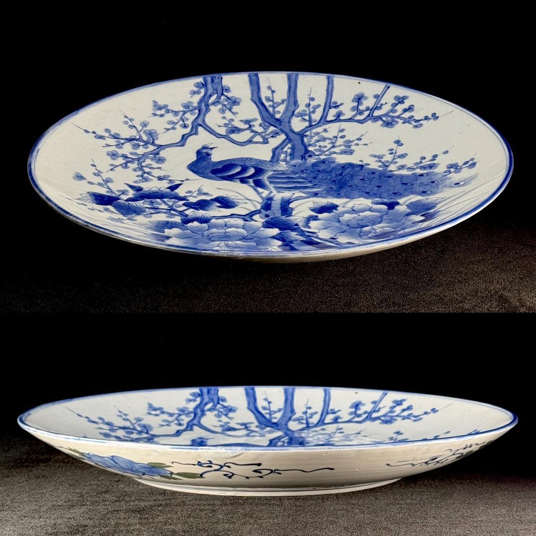 時代物　古伊万里　染付孔雀牡丹文大皿　直径46㎝