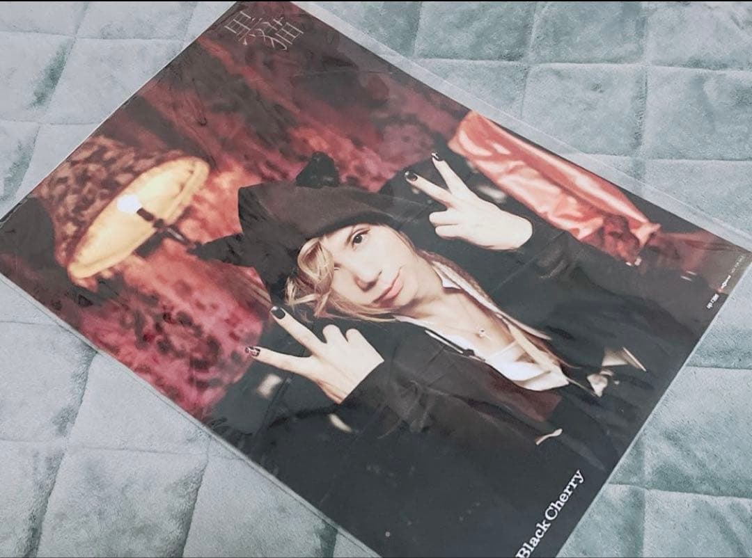 【美品】最終お値下げ Acid Black Cherry ポスター 10点