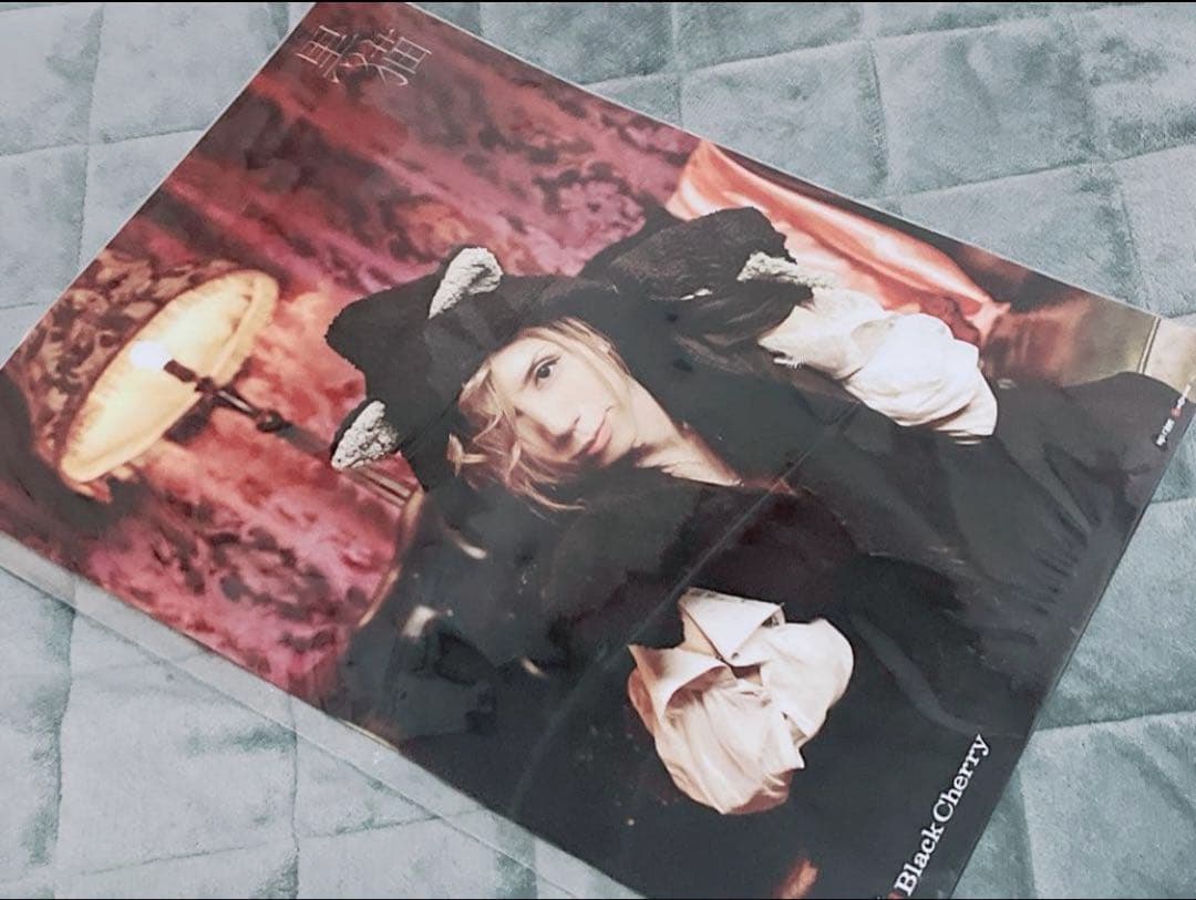 【美品】最終お値下げ Acid Black Cherry ポスター 10点
