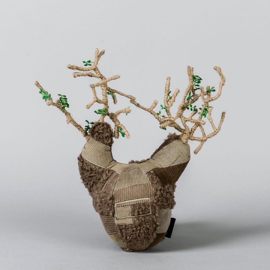 ぬいぐるみ Botanize Pachypatchy Large size