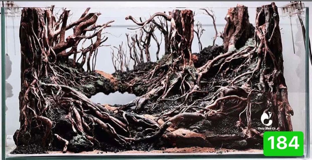 爬虫類ゲー ジ。水槽。水生植物。水槽用流木　。流木 アクアリウム　盆栽流木