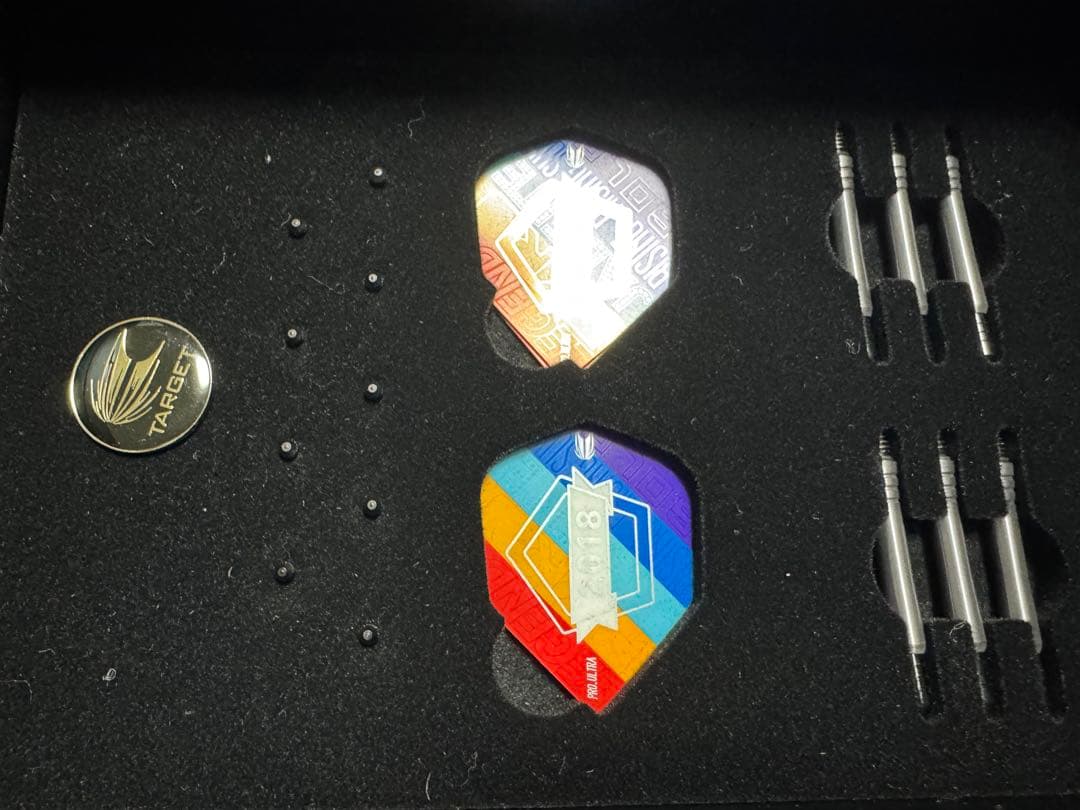 ターゲット ジャパン コンストラクターズ チャンピオン2018 パイロ 星野光正