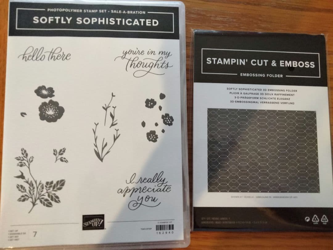 １点限り♡未使用　新作　スタンプ＆エンボスフォルダーセット　スタンピンアップ