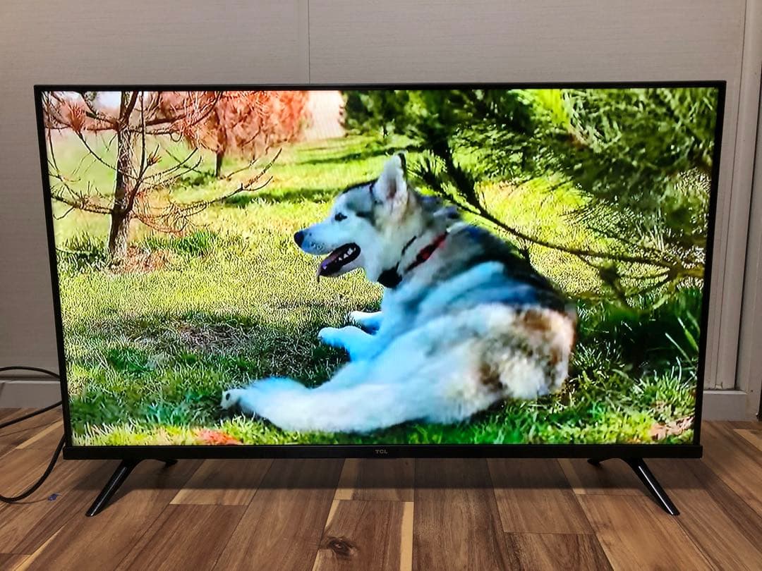 TCL 40V型 液晶テレビ Android TV 40S5200B 2021年