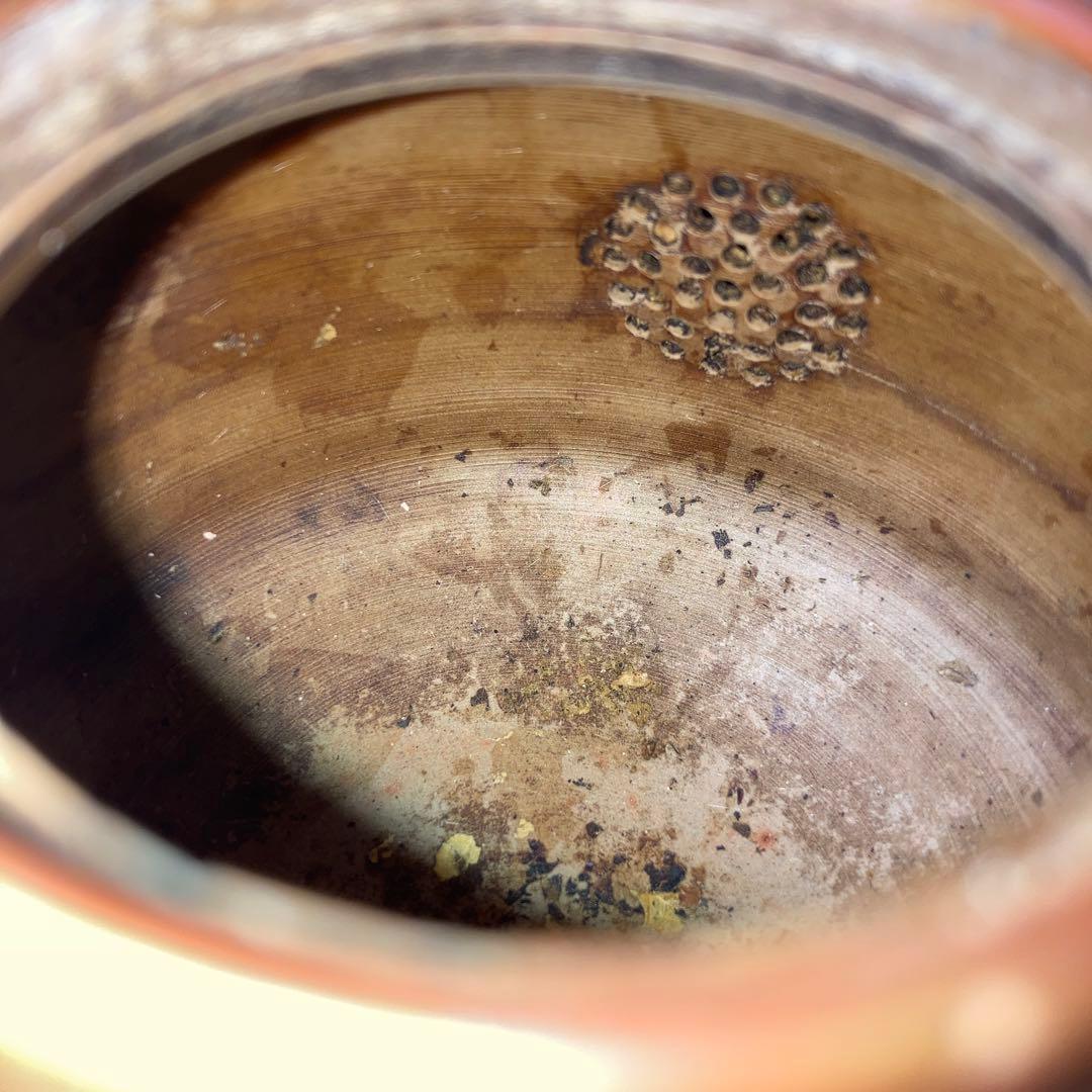 古備前　香山　小茶器揃え　時代　急須　湯冷し　湯呑み5 明治〈検 常滑　朱泥