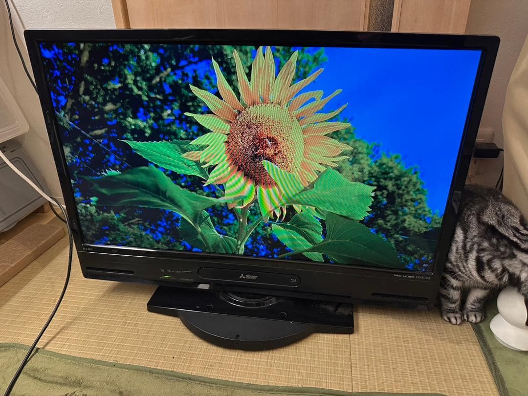 くろっわさんさん専用三菱 18年32型 テレビ LCD-A32BHR10