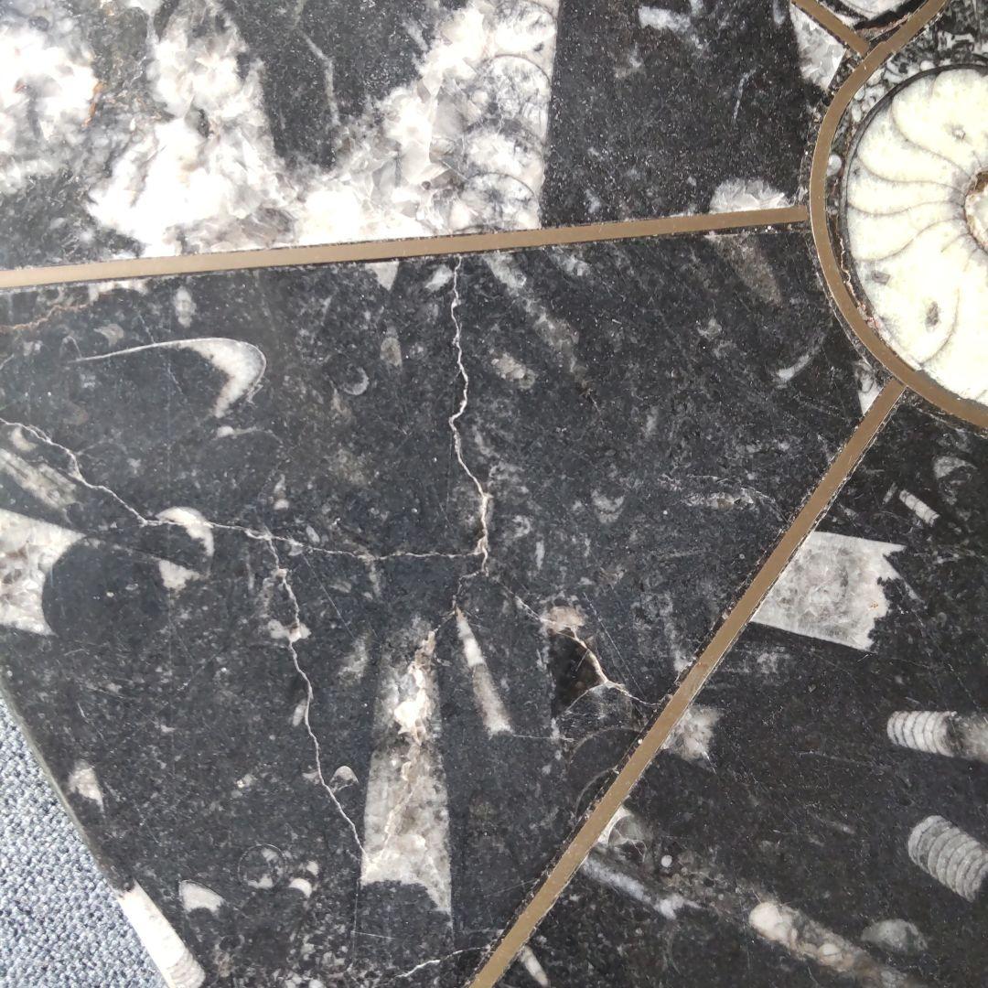 レア！アンモナイト化石 他生物の大理石八角形オブジェプレート！