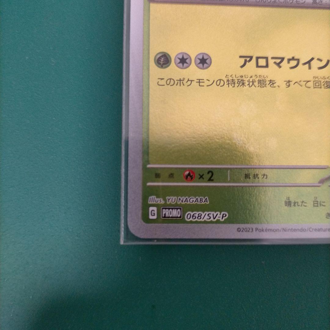 長場雄 リーフィア　YU NAGABA プロモ