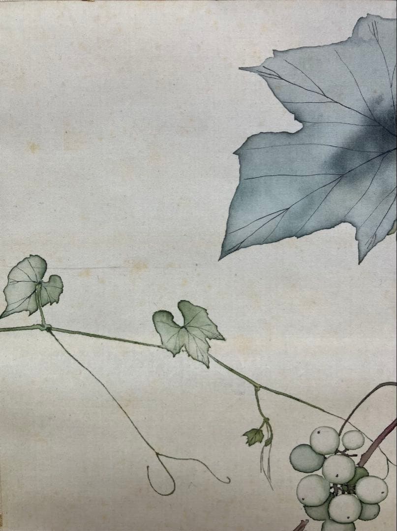 安田靫彦【葡萄】画　絹本　掛軸　共箱　2重箱（検索ワード／前田青邨）