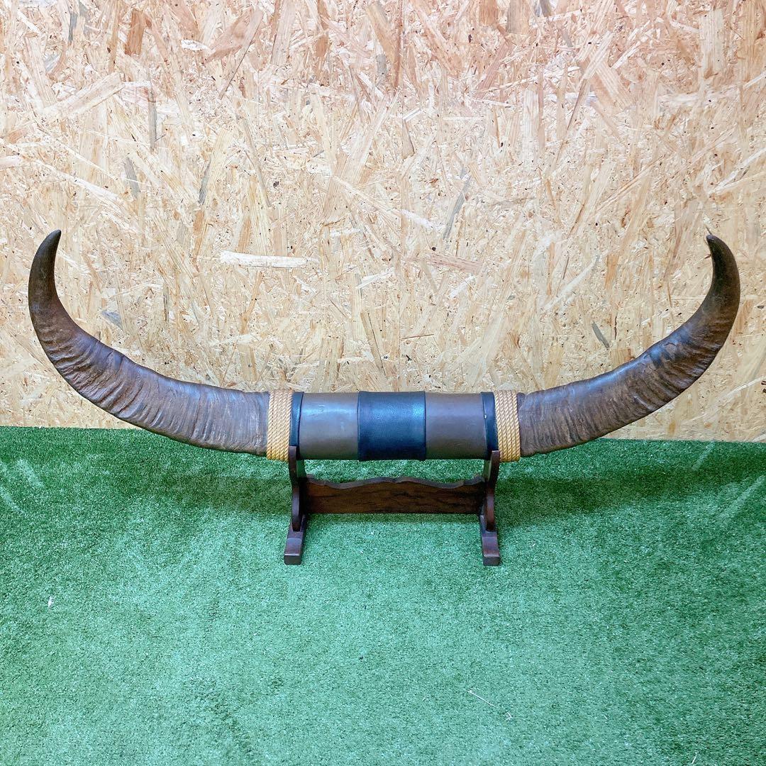 水牛　角　インテリア　レトロ　台座付き