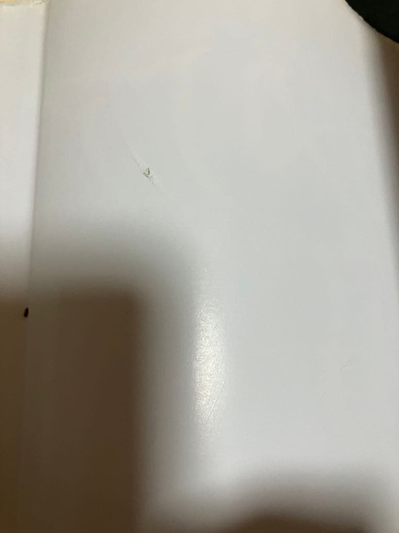 カメリア館 わたなべまさこ　第1刷発行