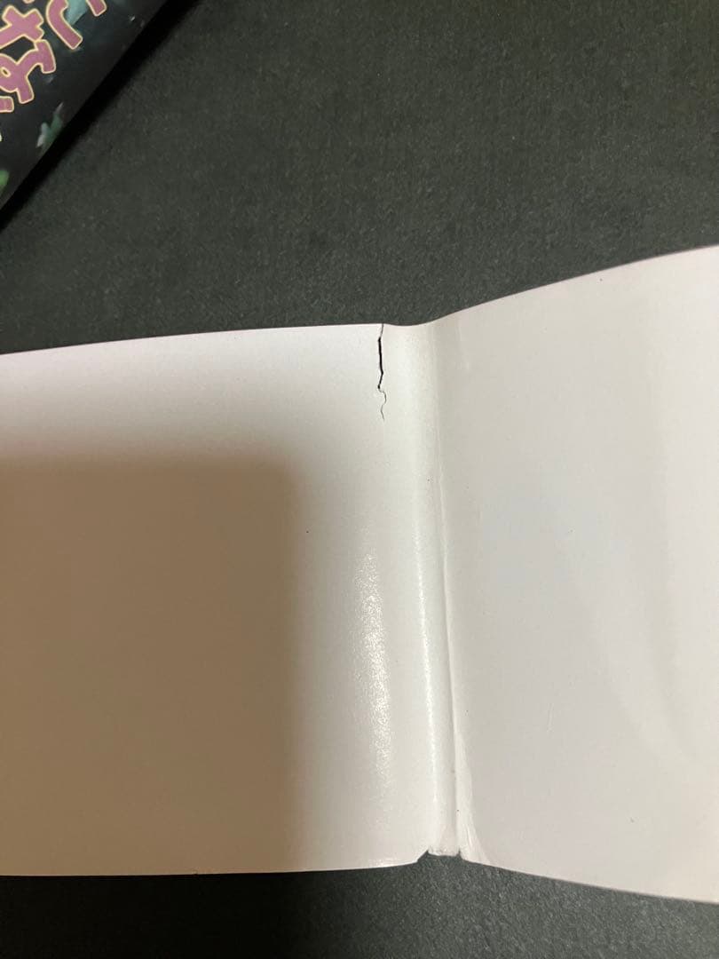 カメリア館 わたなべまさこ　第1刷発行