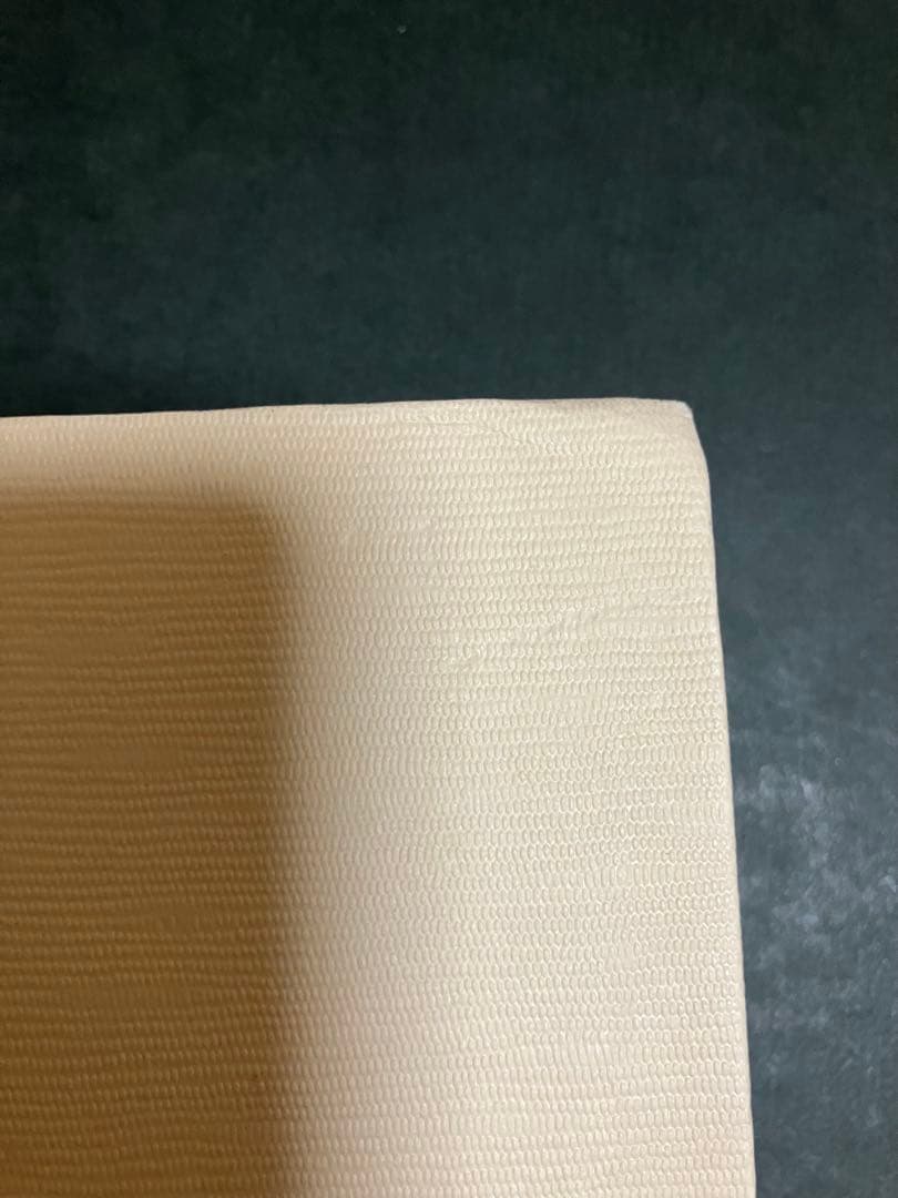 カメリア館 わたなべまさこ　第1刷発行