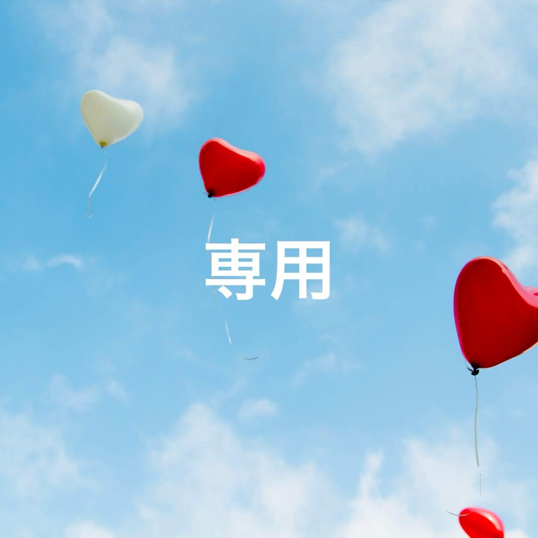 ニナファーム サンテアージュ オキシリア モンコパン(犬猫)サプリメント【3点】