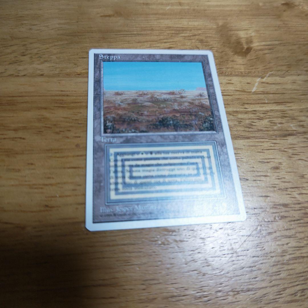 【断捨離】美品 scrubland イタリア語