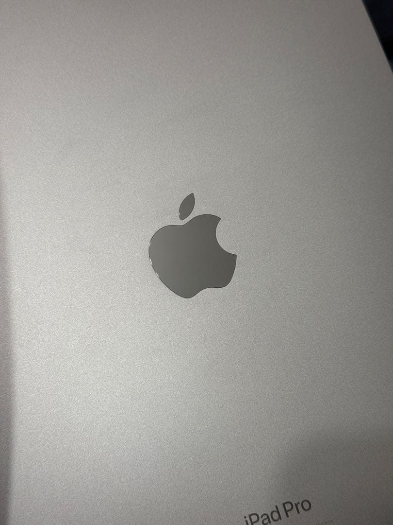 iPad Pro 11 (第4世代) 256GB Wi-Fi+Cellular