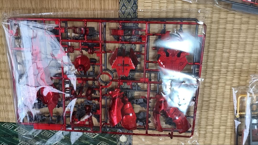 RG サザビー　メカニカルコアメッキ