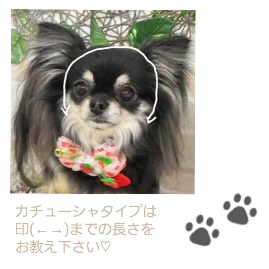 専用！【犬用　現品限り　ヘアアクセサリー付きキャミソールワンピース】no 119