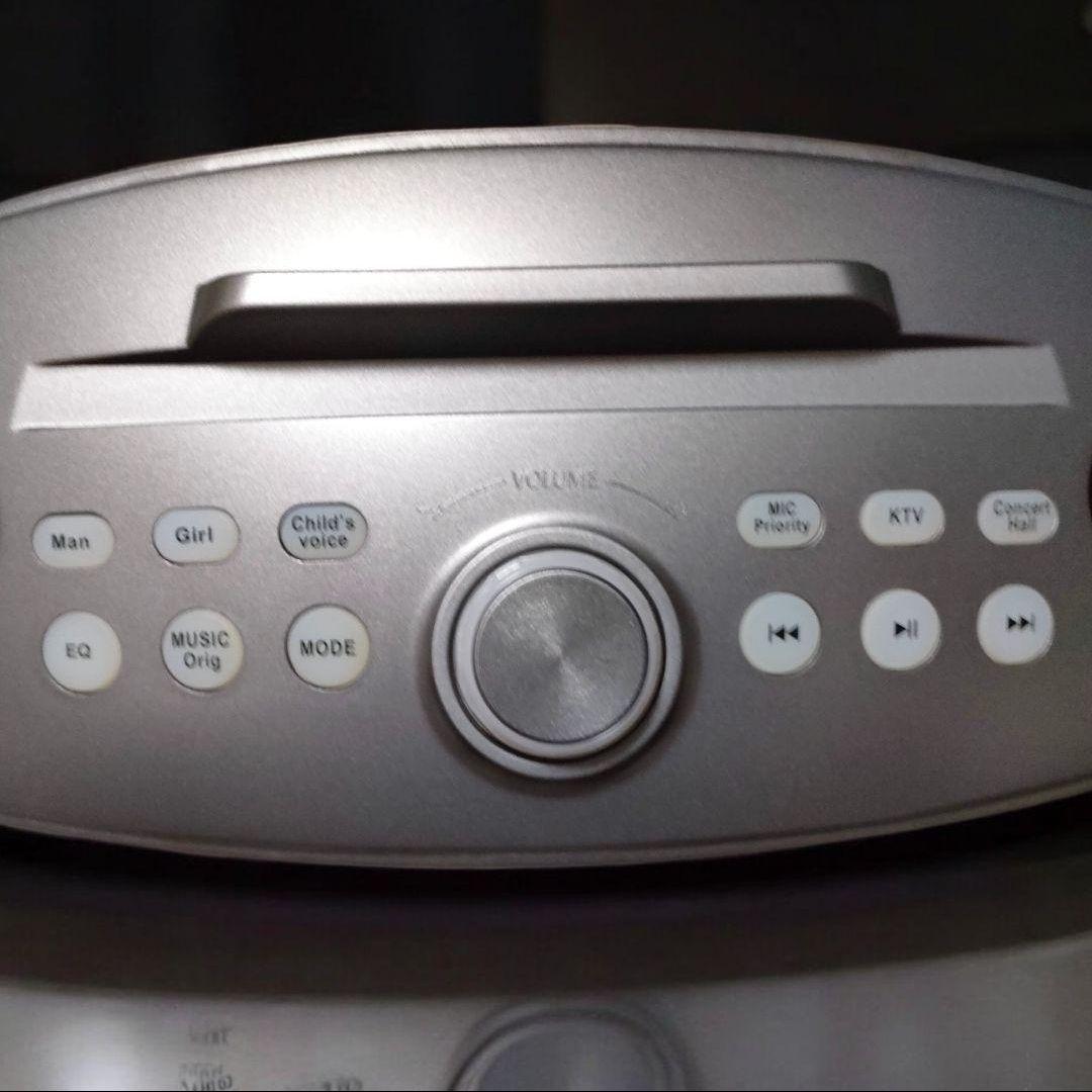 新品未使用 カラオケ 家庭用 スピーカー 第2世代 マイク 2本 USB 充電