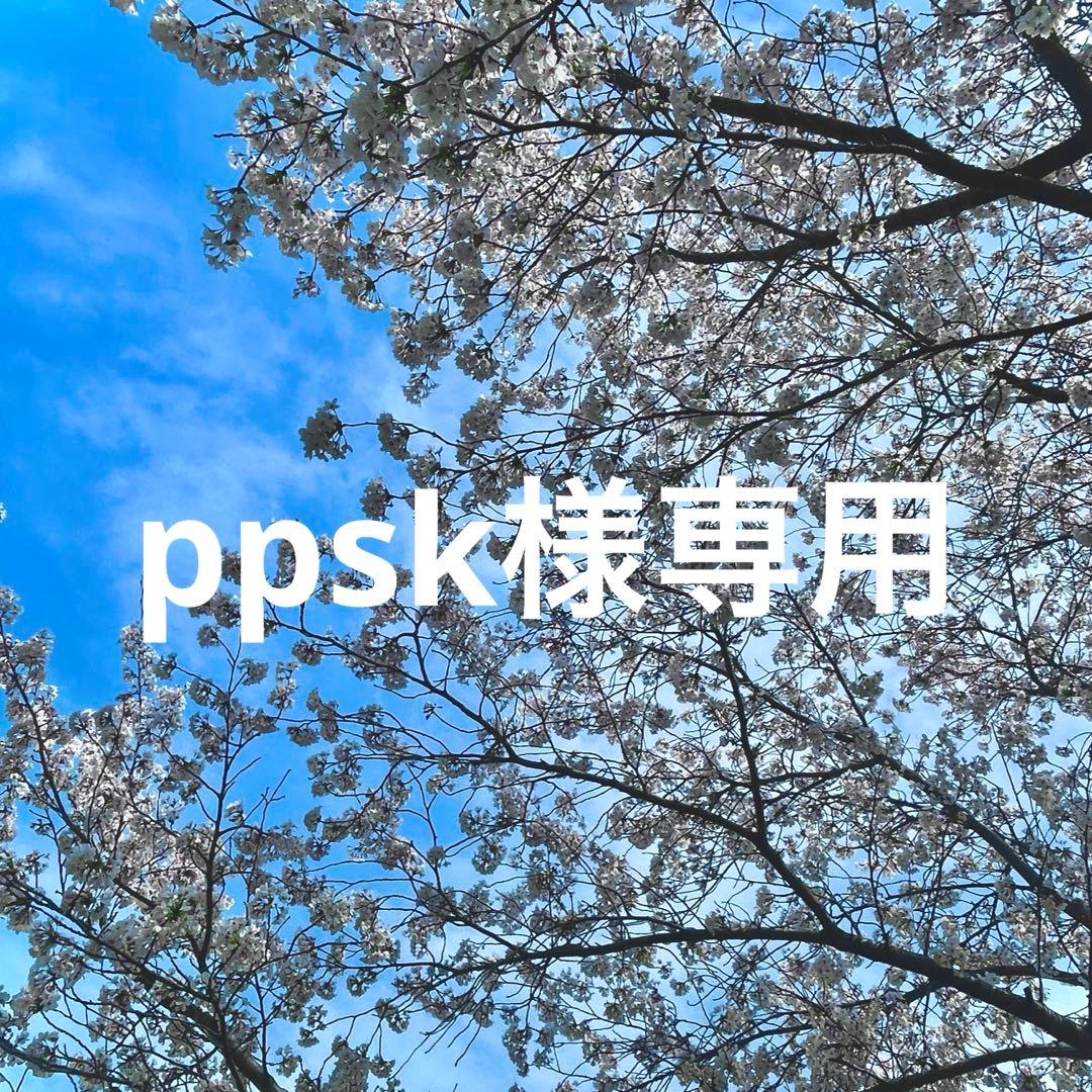 ppskページ