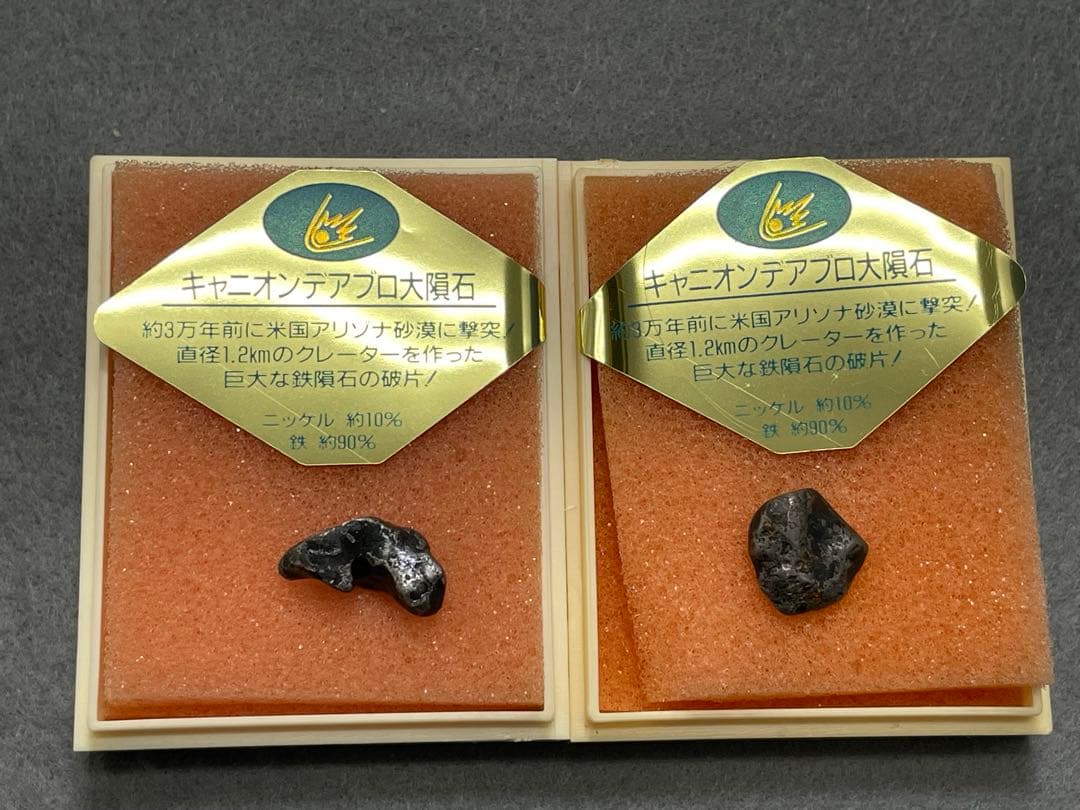 東京サイエンス　キャニオンディアブロ大隕石2個