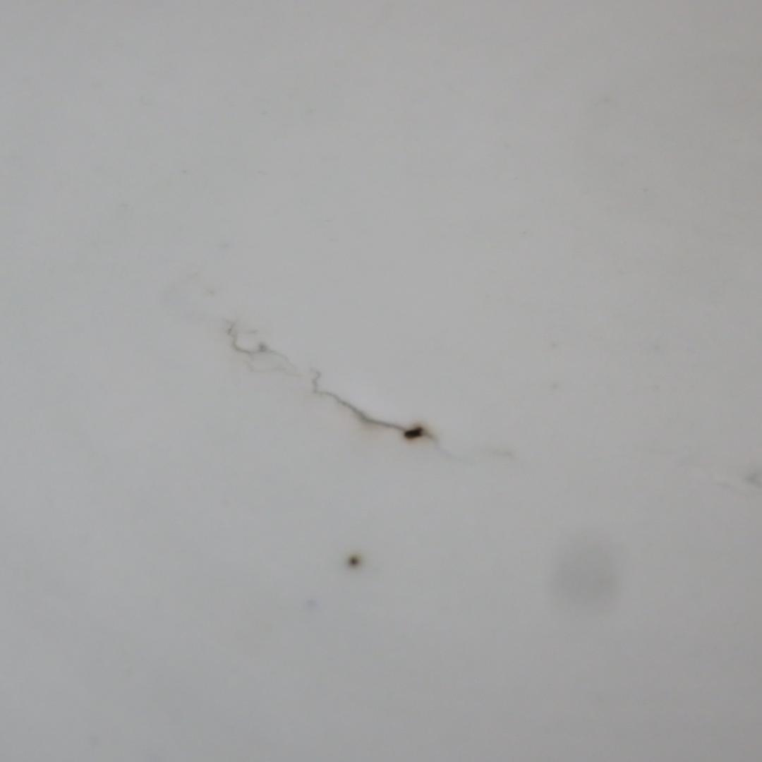 角鉢 八角鉢 伊万里 松竹梅 鳥 蝶 窯傷 歪み 明治前後