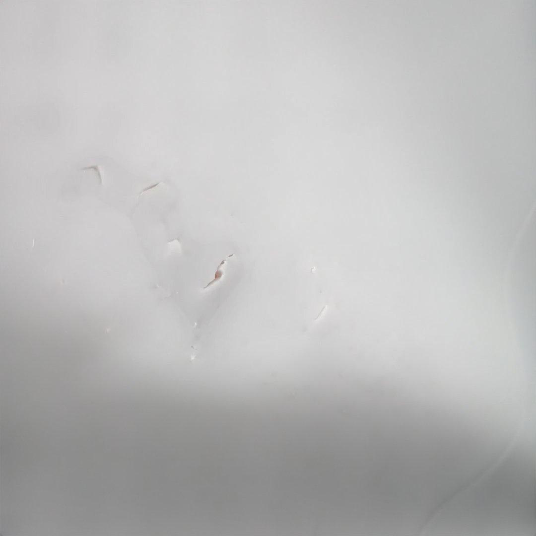 CAT LINK自動猫トイレ (中古)