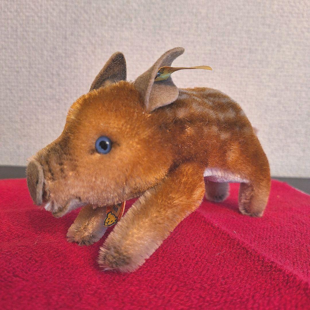 【青い目の若いイノシシ】ヴィンテージ シュタイフ