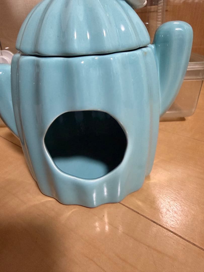 GEX グラスハーモニー600 BUCATSTATEセット