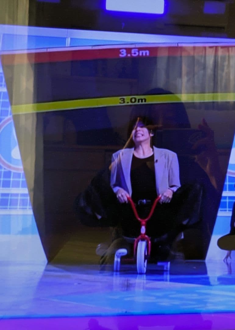 winther社 ボーネルンド 三輪車