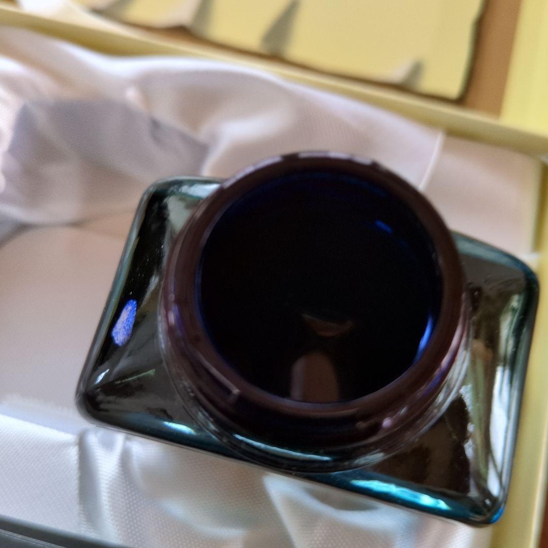 万年筆　Pelikan　ペリカン　GV300