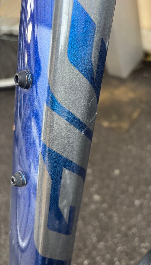 GIANT ESCAPE RX DISC　カメレオンネプチューン　S