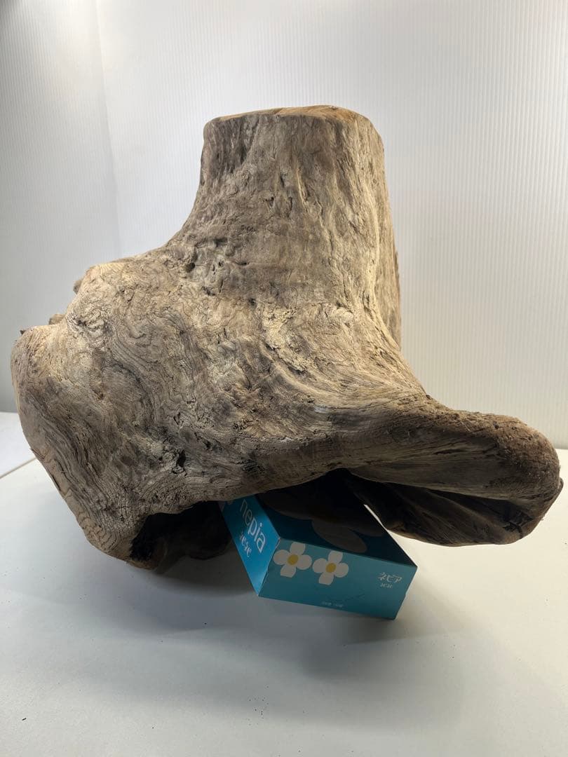 k64大型流木 アク抜き済み 爬虫類シェルター レイアウト用 登り木 インテリア