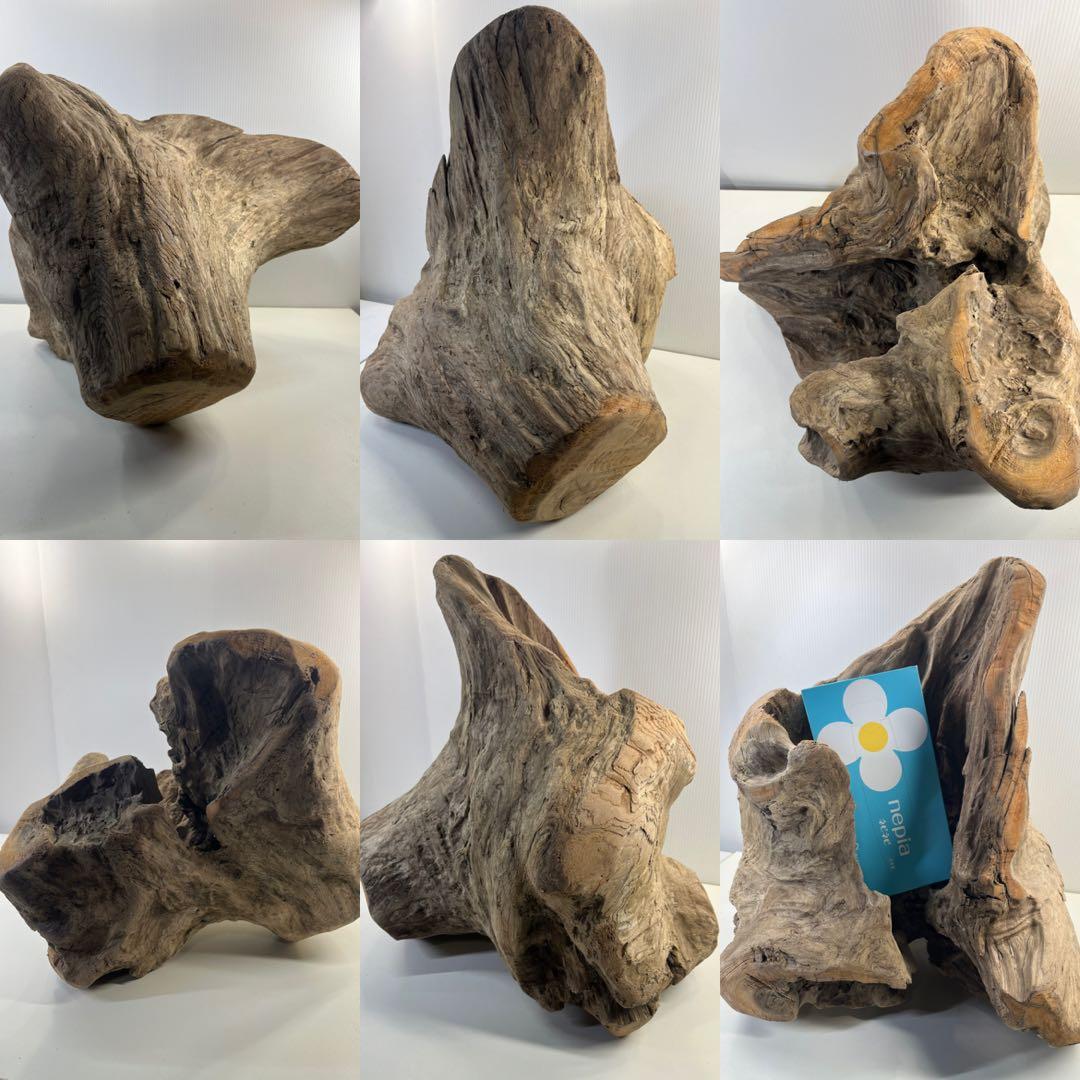 k64大型流木 アク抜き済み 爬虫類シェルター レイアウト用 登り木 インテリア