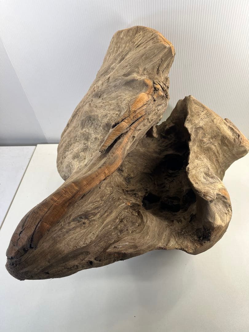 k64大型流木 アク抜き済み 爬虫類シェルター レイアウト用 登り木 インテリア