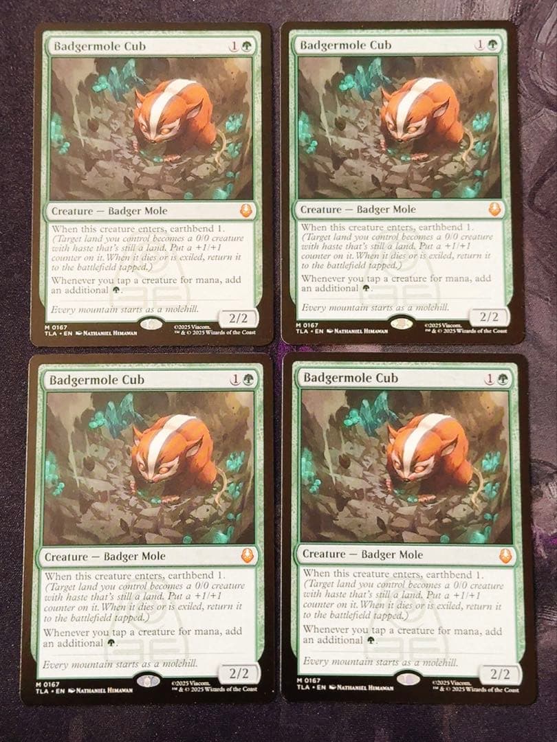 アナグマモグラの仔　英語　4枚セット