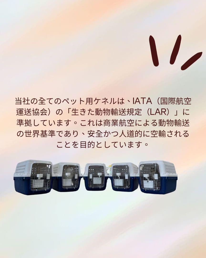 猫犬　ケージ クレート　ペットパレス BB85 移住　お出かけ 輸送