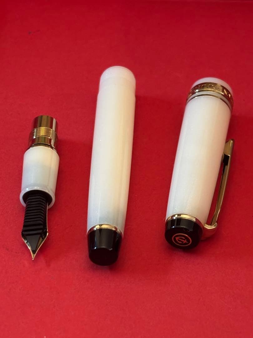 セーラー万年筆SHIKIORI―四季織― 雪月空葉 万年筆 （EF）