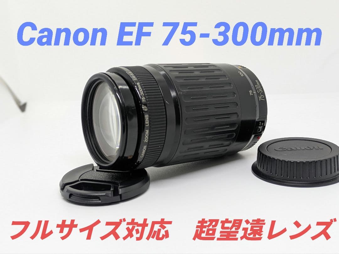 1月11日限定販売♪【超望遠レンズ】Canon EF 75-300mm