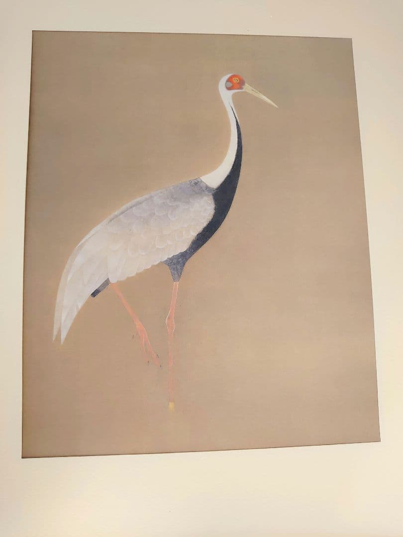 ✨白孔雀 花鳥 上村松篁　全8枚✨