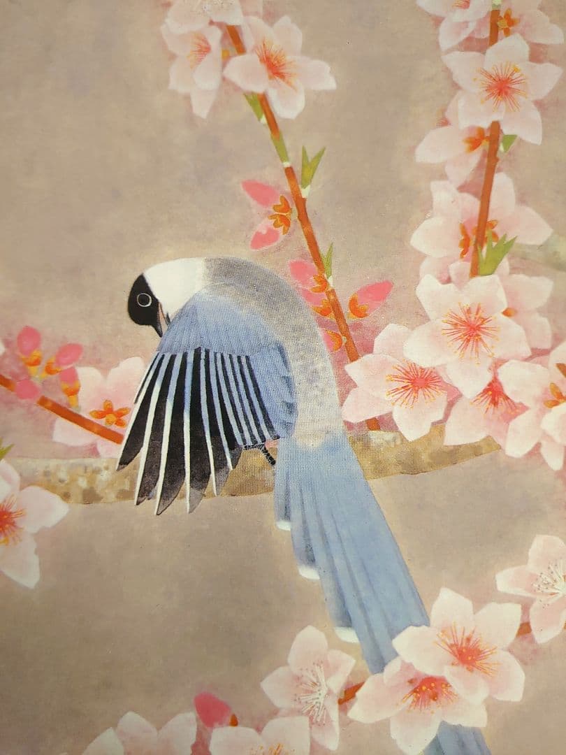 ✨白孔雀 花鳥 上村松篁　全8枚✨