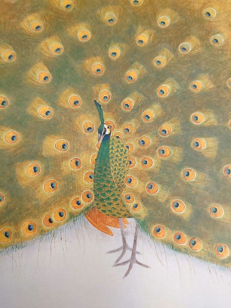 ✨白孔雀 花鳥 上村松篁　全8枚✨